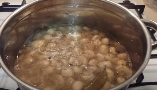 Маринованные шампиньоны на 1 литр воды. Маринованные шампиньоны в домашних условиях — рецепты быстрого приготовления