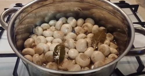 Маринованные шампиньоны на 1 литр воды. Маринованные шампиньоны в домашних условиях — рецепты быстрого приготовления