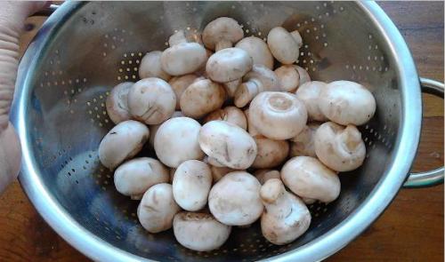 Маринованные шампиньоны: простой рецепт. Маринованные шампиньоны в домашних условиях — 7 очень вкусных рецептов быстрого приготовления