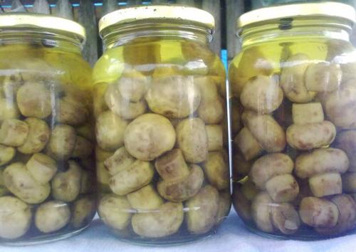 Быстрые маринованные шампиньоны из банки. Маринованные шампиньоны быстрого приготовления: 10 идеальных рецептов. Готовы в считанные минуты!