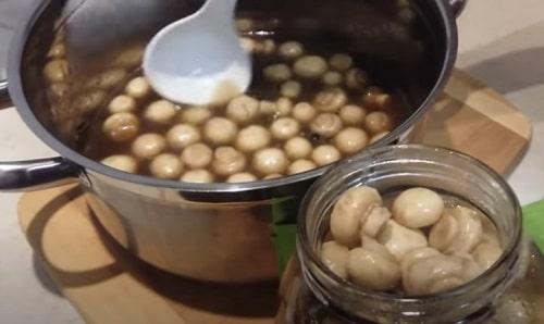 Маринованные шампиньоны на 1 литр воды. Маринованные шампиньоны в домашних условиях — рецепты быстрого приготовления