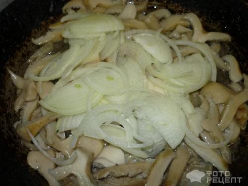 Жареные маринованные грибы со сметаной. Рецепт: Жареные грибы со сметаной - маринованные белые подгрузки