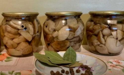 Маринад для грибов на 1 литр воды с уксусом. Маринованные белые грибы на зиму в банках — простые рецепты приготовления