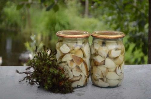Маринад для грибов на 1 литр воды с уксусом. Маринованные белые грибы на зиму в банках — простые рецепты приготовления