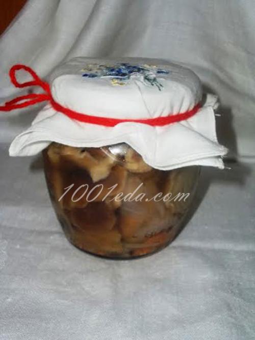 Закатка грибов на зиму в банки. Классический рецепт маринования белых грибов 15 Закатка грибов на зиму в банки. Классический рецепт маринования белых грибов 15