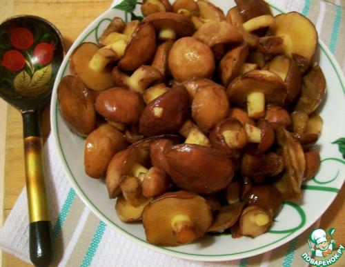 Как заморозить лесные грибы на зиму. Грибы и варианты их заморозки