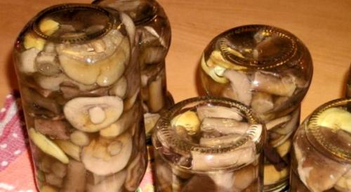 Особенности консервирования грибов в банках на зиму. Как мариновать грибы на зиму в банках по простому рецепту