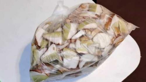 Как заморозить белые грибы на зиму. Как правильно заморозить белые грибы на зиму