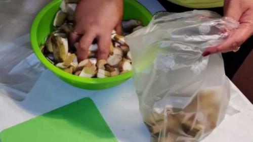 Как заморозить белые грибы на зиму. Как правильно заморозить белые грибы на зиму