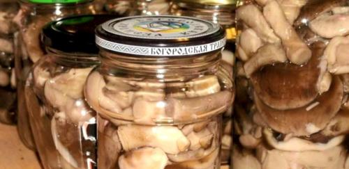 Особенности консервирования грибов в банках на зиму. Как мариновать грибы на зиму в банках по простому рецепту