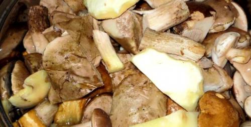 Особенности консервирования грибов в банках на зиму. Как мариновать грибы на зиму в банках по простому рецепту