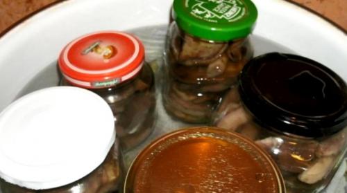 Особенности консервирования грибов в банках на зиму. Как мариновать грибы на зиму в банках по простому рецепту