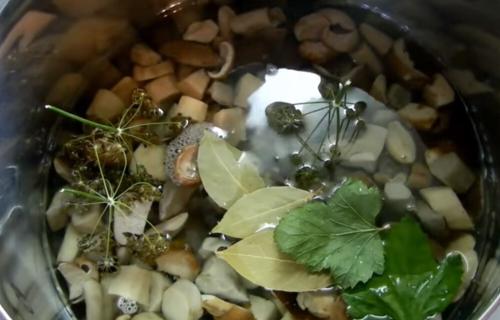 Грибы стерилизованные на зиму. Как мариновать белые грибы на зиму — простой рецепт в домашних условиях