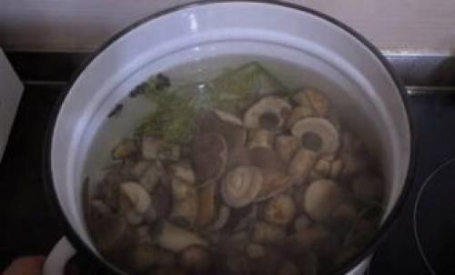 Консервация грибов на зиму рецепты без стерилизации. Маринованные подберезовики в банках на зиму