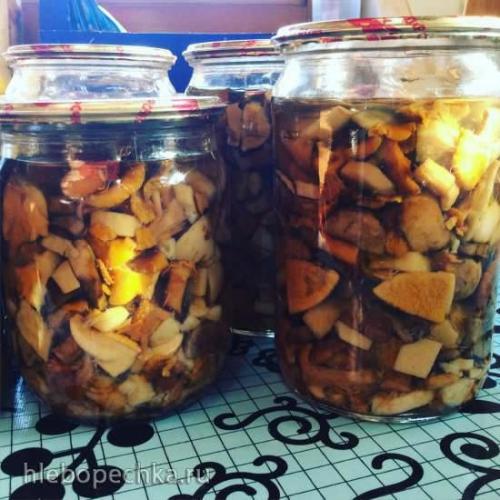 Как приготовить грибы в автоклаве. Порядок приготовления грибов в автоклаве в домашних условиях 01 Как приготовить грибы в автоклаве. Порядок приготовления грибов в автоклаве в домашних условиях 01