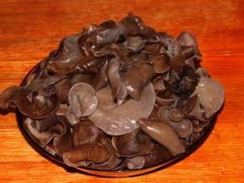 Отварные грибы на зиму в банках. Грибы солено-отварные