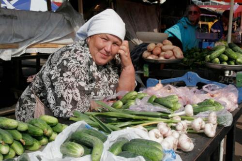 Почему появляется горечь в огурцах и как с ней бороться. Разбираемся 05