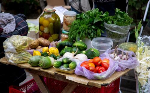 Почему появляется горечь в огурцах и как с ней бороться. Разбираемся 07