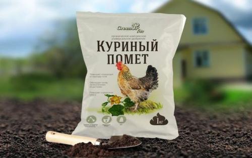 Подкормка малины весной мочевиной. Подкормка малины в весенний период – лучшие рецепты для хорошего урожая