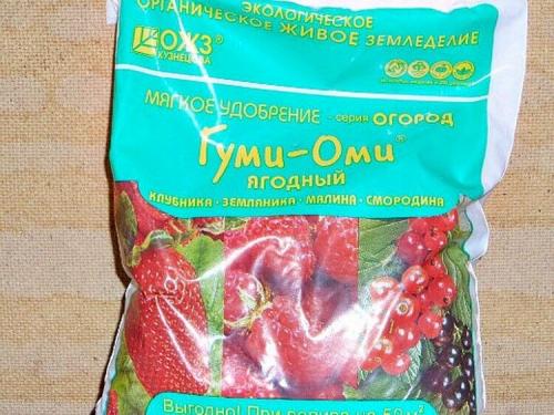 Ремонтантная малина подкормка весной. Чем удобрять ремонтантную малину весной 04 Ремонтантная малина подкормка весной. Чем удобрять ремонтантную малину весной 04