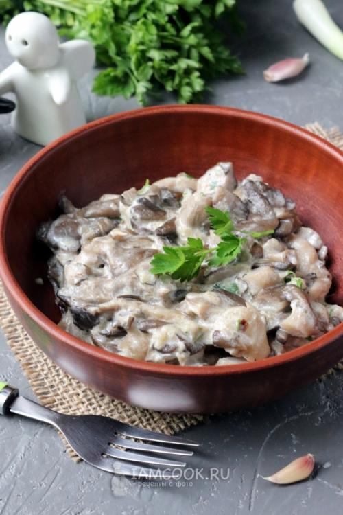 Как научиться вкусно жарить вешенки. Жареные вешенки — рецепты и секреты приготовления 07 Как научиться вкусно жарить вешенки. Жареные вешенки — рецепты и секреты приготовления 07