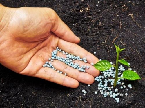 Как отмерить 1 грамм удобрения. Отмеряем удобрения без весов