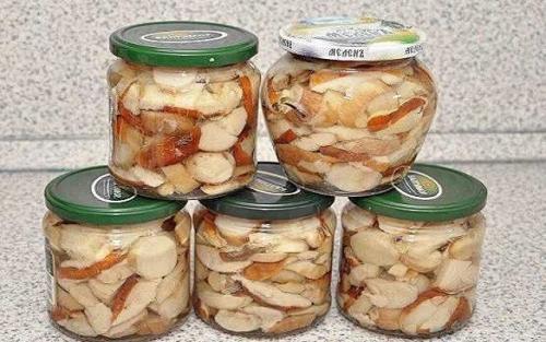 Белые грибы на зиму в банках. Простые рецепты приготовления белых грибов на зиму — различные способы заготовки