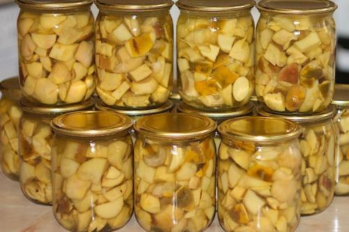 Маринованные белые грибы с чесноком. 10 легких рецептов маринованных белых грибов на зиму