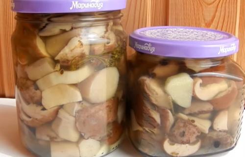 Маринованные белые грибы без стерилизации. Как мариновать белые грибы на зиму: простые рецепты в домашних условиях