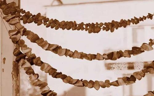 Белые грибы на зиму в банках. Простые рецепты приготовления белых грибов на зиму — различные способы заготовки