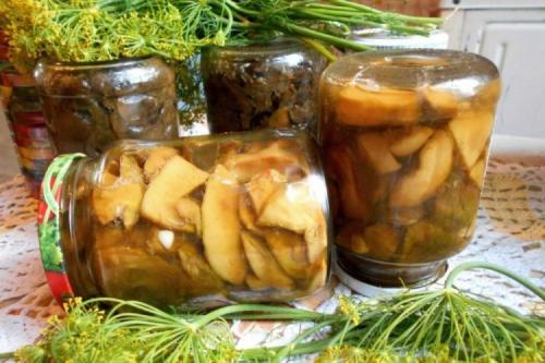 Маринованные белые грибы с чесноком. 10 легких рецептов маринованных белых грибов на зиму
