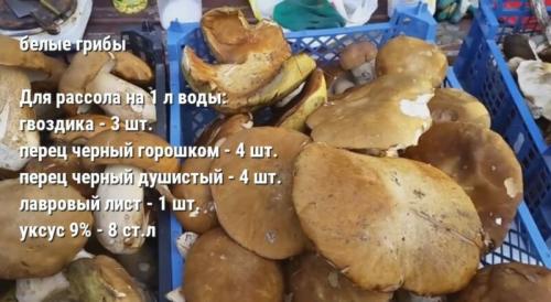 Маринованные белые грибы быстрого приготовления. Хрустящие маринованные белые грибы на зиму в банках по простому рецепту