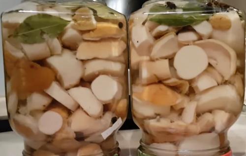 Маринованные белые грибы без стерилизации. Как мариновать белые грибы на зиму: простые рецепты в домашних условиях