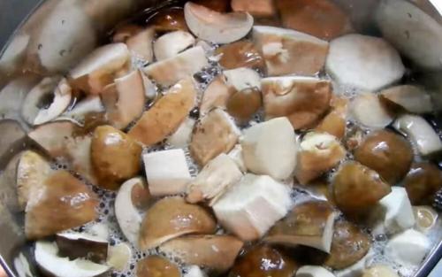 Маринованные белые грибы без стерилизации. Как мариновать белые грибы на зиму: простые рецепты в домашних условиях