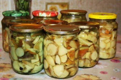 Маринованные белые грибы с чесноком. 10 легких рецептов маринованных белых грибов на зиму