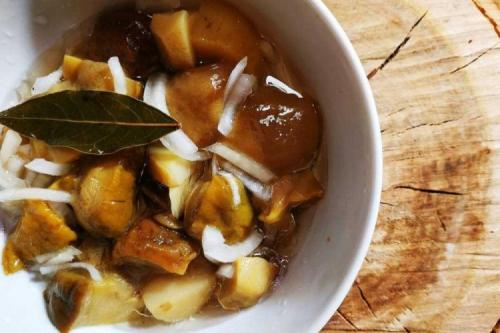 Маринованные белые грибы с чесноком. 10 легких рецептов маринованных белых грибов на зиму