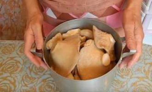 Жареные грибы на зиму 19