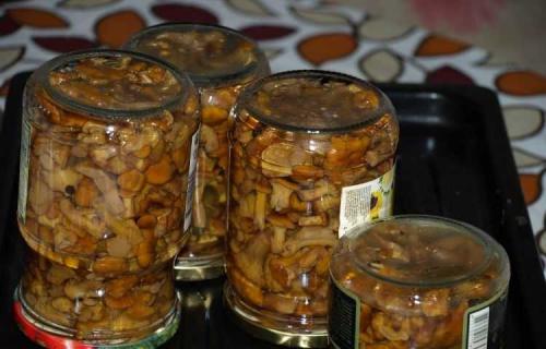 Жареные грибы на зиму 25