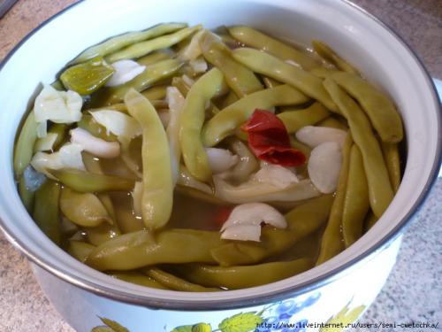 Квашеная стручковая фасоль на зиму рецепты. — Статистика