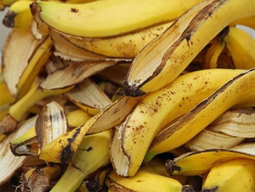 Банановые шкурки, как удобрение. Чем полезна кожура?