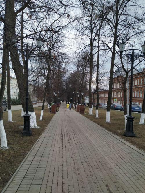 Зачем белят деревья вдоль дорог. Зачем нужно белить стволы деревьев?