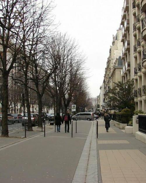 Зачем белят деревья вдоль дорог. Зачем нужно белить стволы деревьев?