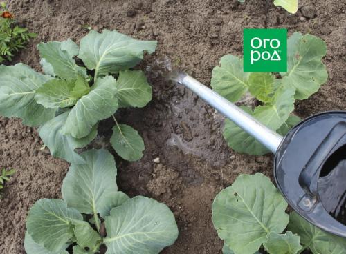 Определение количества монофосфата калия в чайной ложке 17