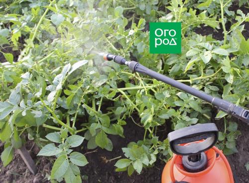 Определение количества монофосфата калия в чайной ложке 16