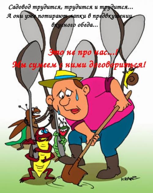 Как организовать борьбу с вредителями и болезнями при природном земледелии репы. Почему земледельцам-природникам не страшны вредители и болезни?