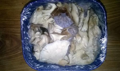 Как приготовить грибы рядовки на зиму. Как правильно заморозить грибы рядовки на зиму