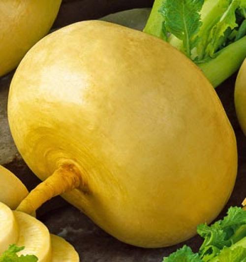 Какие преимущества имеет природное земледелие репы перед традиционным. ВЫРАЩИВАНИЕ РЕПЫ В ПРИРОДНОМ ЗЕМЛЕДЕЛИИ!