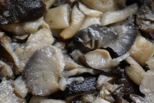 Как приготовить грибы рядовки на гриль. Как пожарить рядовки