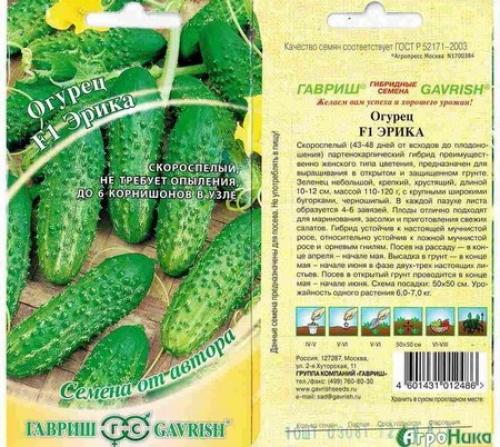 Сорта огурцов для посадки в ленобласти. Тонкости выбора семян с учетом районирования 05