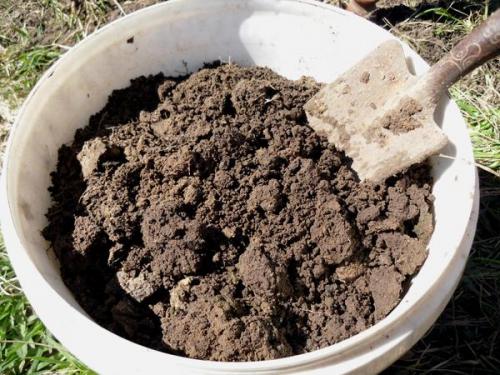 Какие растения можно выращивать в корзине для посадки. Корзинка с петуниями